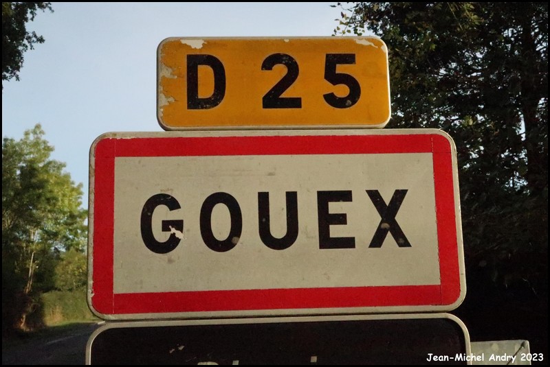 Gouex 86 - Jean-Michel Andry.jpg