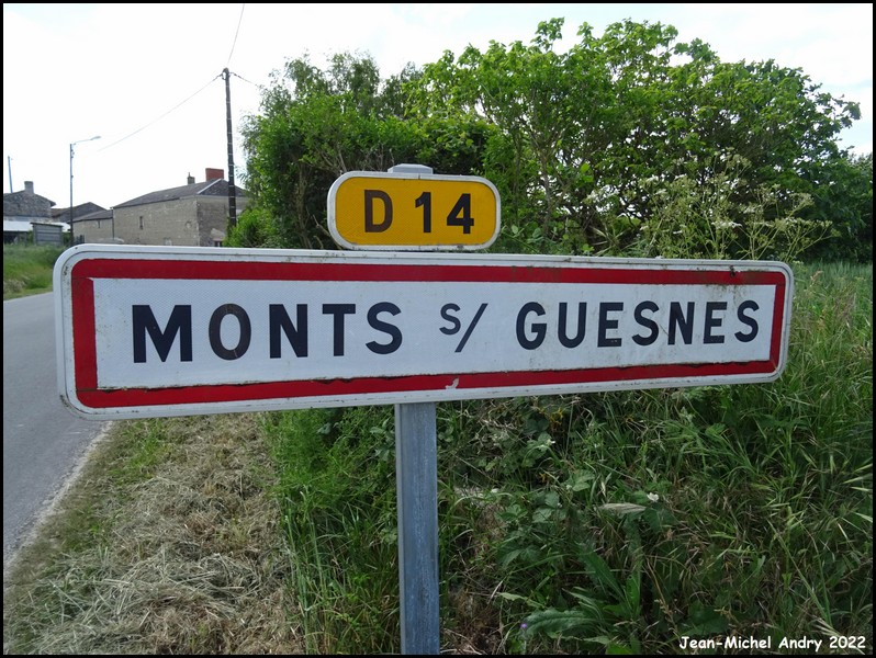 Monts-sur-Guesnes 86 - Jean-Michel Andry.jpg