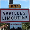 Availles-Limouzine 86 - Jean-Michel Andry.jpg