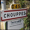 Chouppes 86 - Jean-Michel Andry.jpg