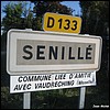 Senillé-Saint-Sauveur_1 86 - Jean-Michel Andry.jpg