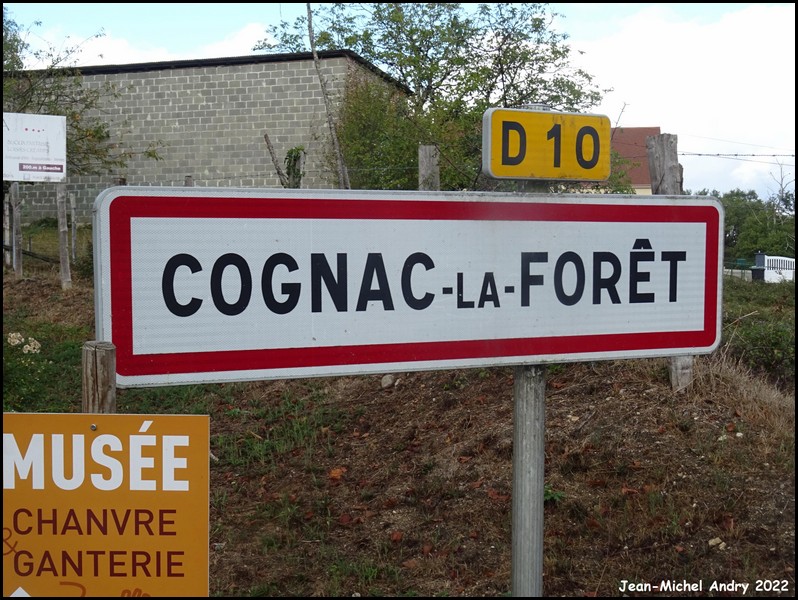 Cognac-la-Forêt 87 - Jean-Michel Andry.jpg