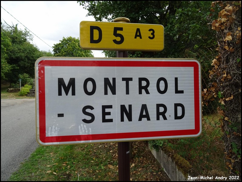 Montrol-Sénard 87 - Jean-Michel Andry.jpg