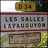 Les Salles-Lavauguyon 87 - Jean-Michel Andry.jpg