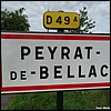 Peyrat-de-Bellac 87 - Jean-Michel Andry.jpg