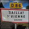 Saillat-sur-Vienne 87 - Jean-Michel Andry.jpg