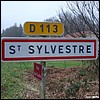 Saint-Sylvestre 87 - Jean-Michel Andry.jpg