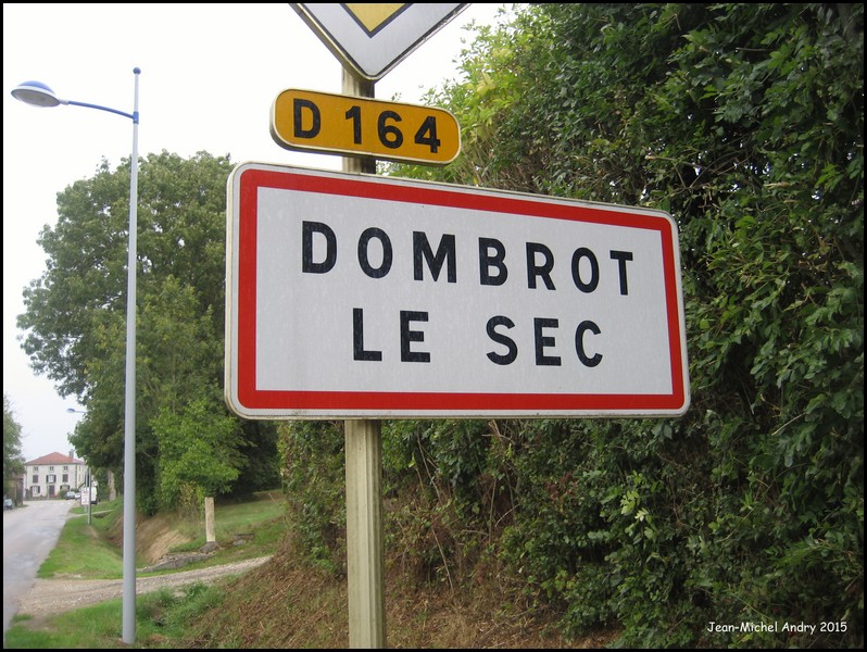 Dombrot-le-Sec 88 Jean-Michel Andry.jpg