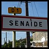 Senaide 88 - Jean-Michel Andry.jpg