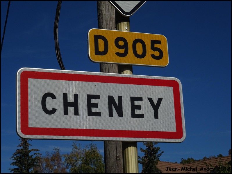 Cheney 89 - Jean-Michel Andry.jpg