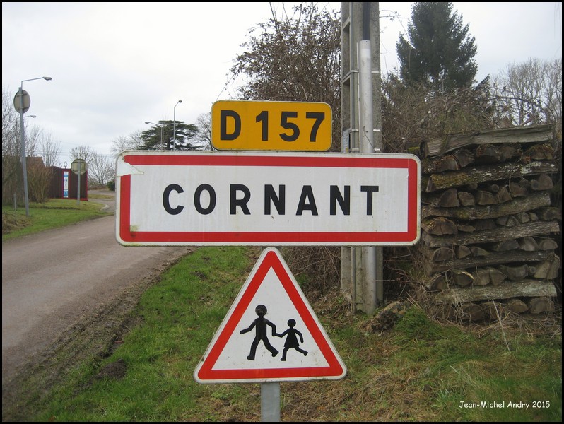 Cornant 89 - Jean-Michel Andry.jpg