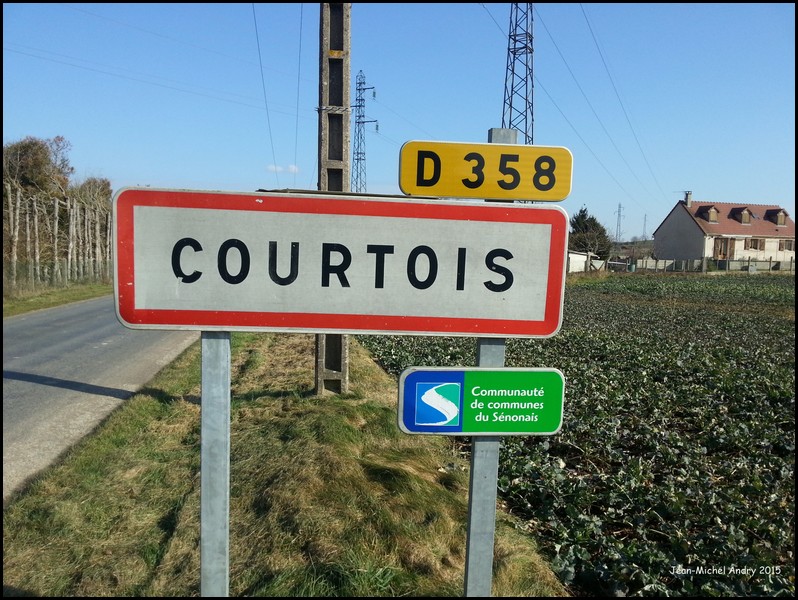 Courtois-sur-Yonne 89 - Jean-Michel Andry.jpg
