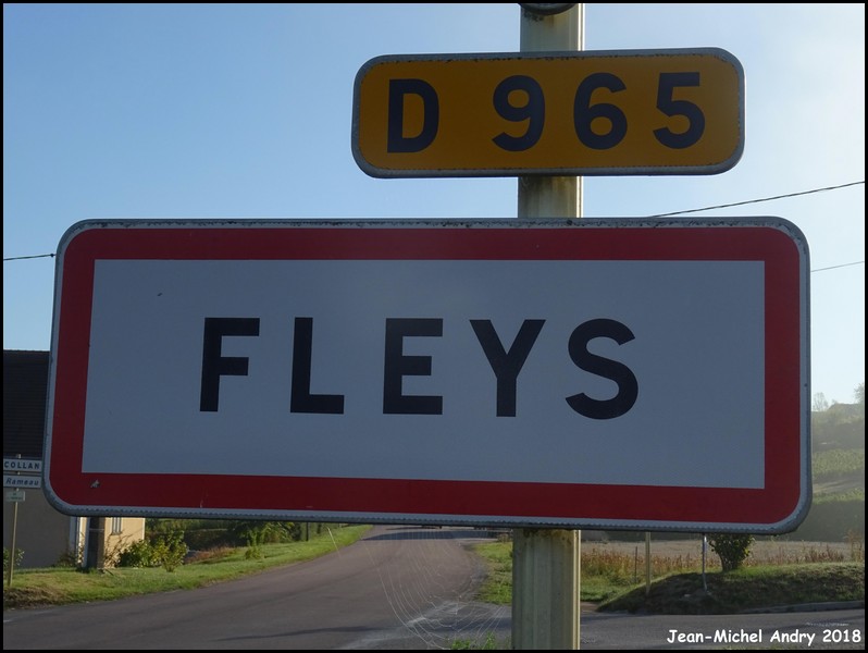 Fleys 89 - Jean-Michel Andry.jpg