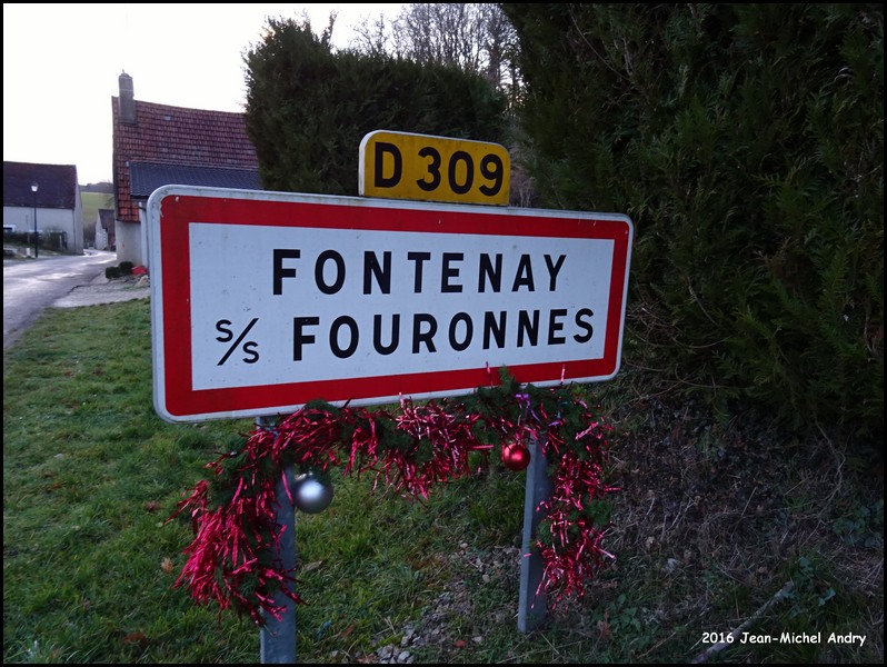 Fontenay-Sous-Fouronnes 89 - Jean-Michel Andry.jpg