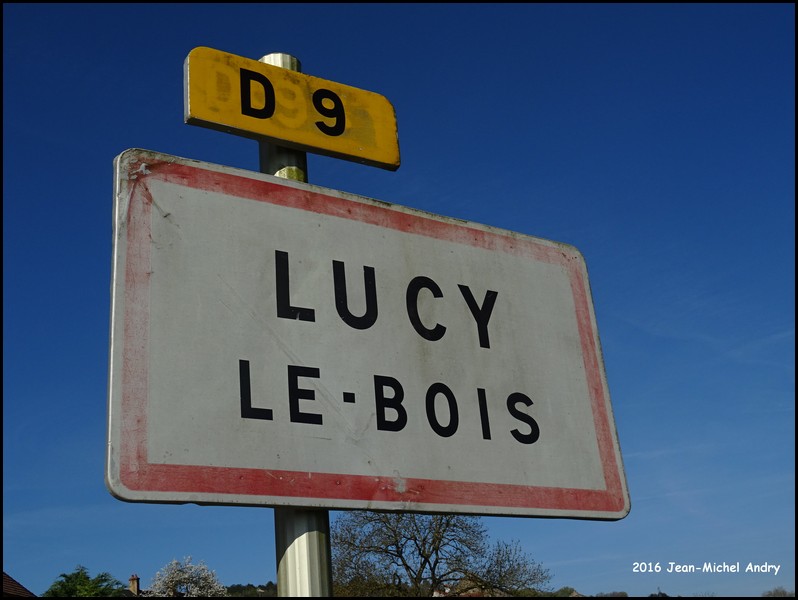 Lucy-le-Bois 89 - Jean-Michel Andry.jpg