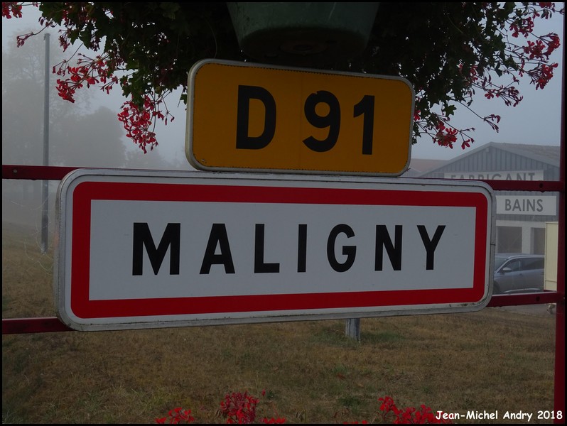 Maligny 89 - Jean-Michel Andry.jpg