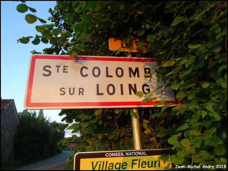 Sainte-Colombe-sur-Loing 89 - Jean-Michel Andry.jpg