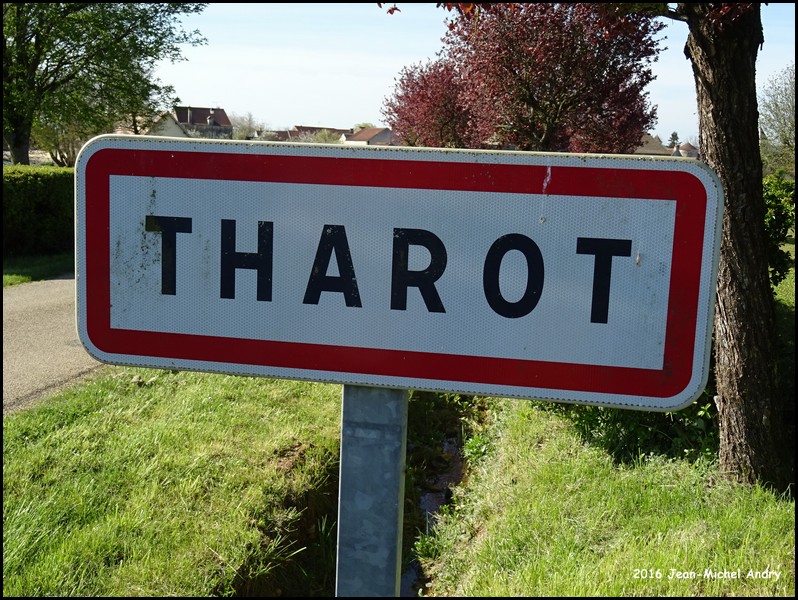 Tharot 89 - Jean-Michel Andry.jpg