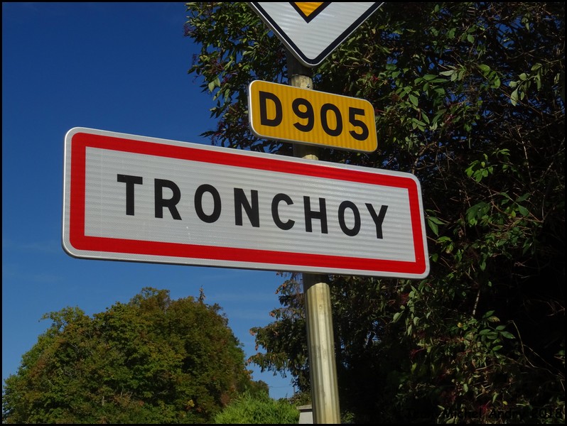Tronchoy 89 - Jean-Michel Andry.jpg
