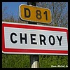 Chéroy 89 - Jean-Michel Andry.jpg