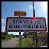 Druyes-les-Belles-Fontaines 89 - Jean-Michel Andry.jpg