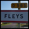 Fleys 89 - Jean-Michel Andry.jpg