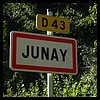 Junay 89 - Jean-Michel Andry.jpg
