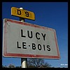 Lucy-le-Bois 89 - Jean-Michel Andry.jpg