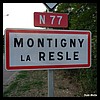 Montigny-la-Resle 89 - Jean-Michel Andry.jpg