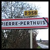 Pierre-Perthuis 89 - Jean-Michel Andry.jpg