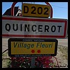 Quincerot 89 - Jean-Michel Andry.jpg