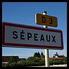 Sépeaux-Saint-Romain 1 89 - Jean-Michel Andry.jpg
