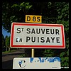Saint-Sauveur-en-Puisaye 89 - Jean-Michel Andry.jpg