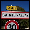 Sainte-Pallaye 89 - Jean-Michel Andry.jpg