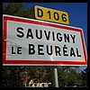 Sauvigny-le-Beuréal 89 - Jean-Michel Andry.jpg