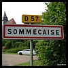 Sommecaise 89 - Jean-Michel Andry.jpg