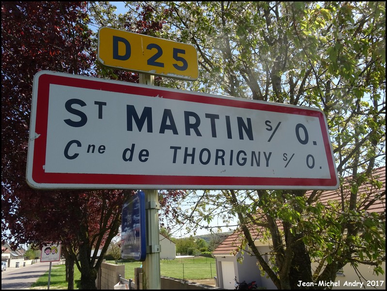 120Saint-Martin-sur-Oreuse 89 - Jean-Michel Andry.jpg