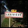 Lariviere 90 - Jean-Michel Andry.jpg