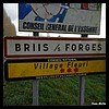 Briis-sous-Forges 91 - Jean-Michel Andry.jpg
