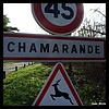 Chamarande 91 - Jean-Michel Andry.jpg