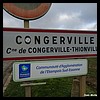 Congerville-Thionville 1 91 - Jean-Michel Andry.jpg