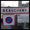 Beauchamp  95 - Jean-Michel Andry.jpg