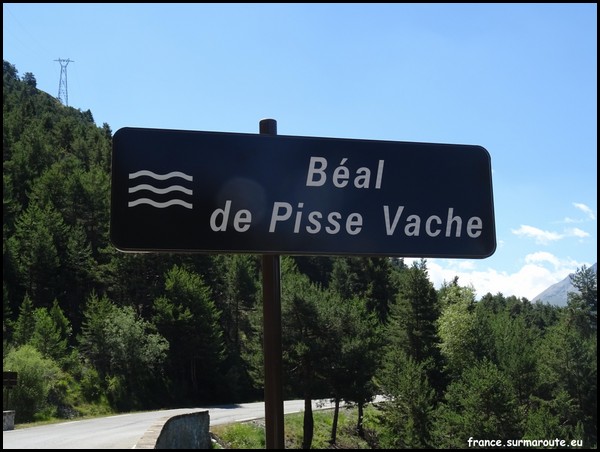 BEAL DE PISSE VACHE 05.JPG