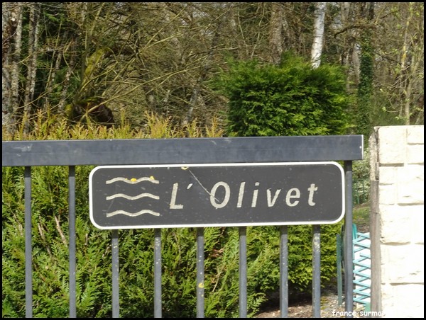 OLIVET 37.JPG