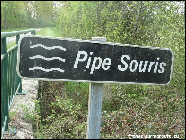 PIPE SOURIS 28.JPG