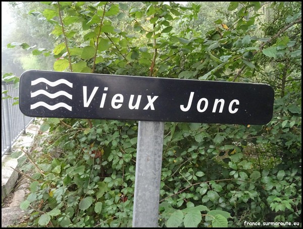 VIEUX JONC 41.JPG