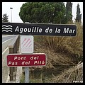 AGOUILLE DE LA MAR 66.JPG