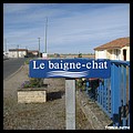 BAIGNE CHAT 86.JPG