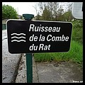 COMBE DU RAT 26.JPG