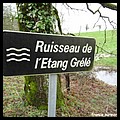 ETANG GRELE 19.JPG